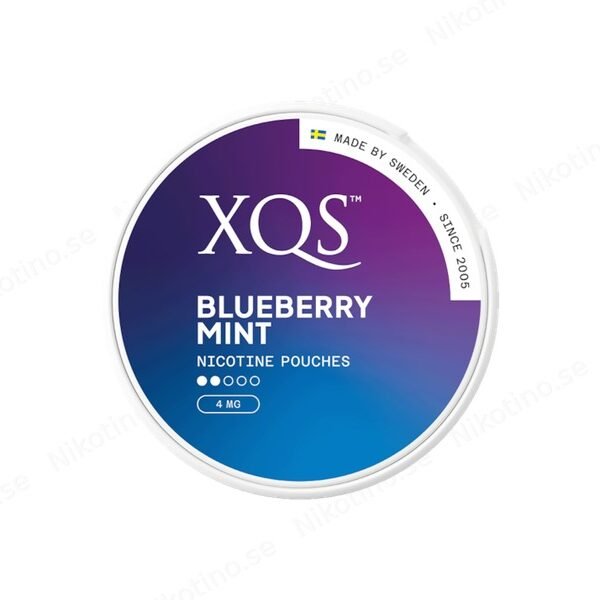 XQS Blueberry Mint (2)